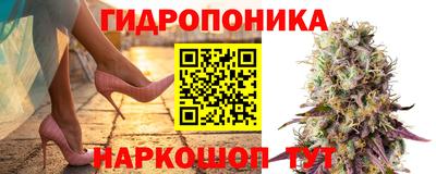 крисы Рыбинск