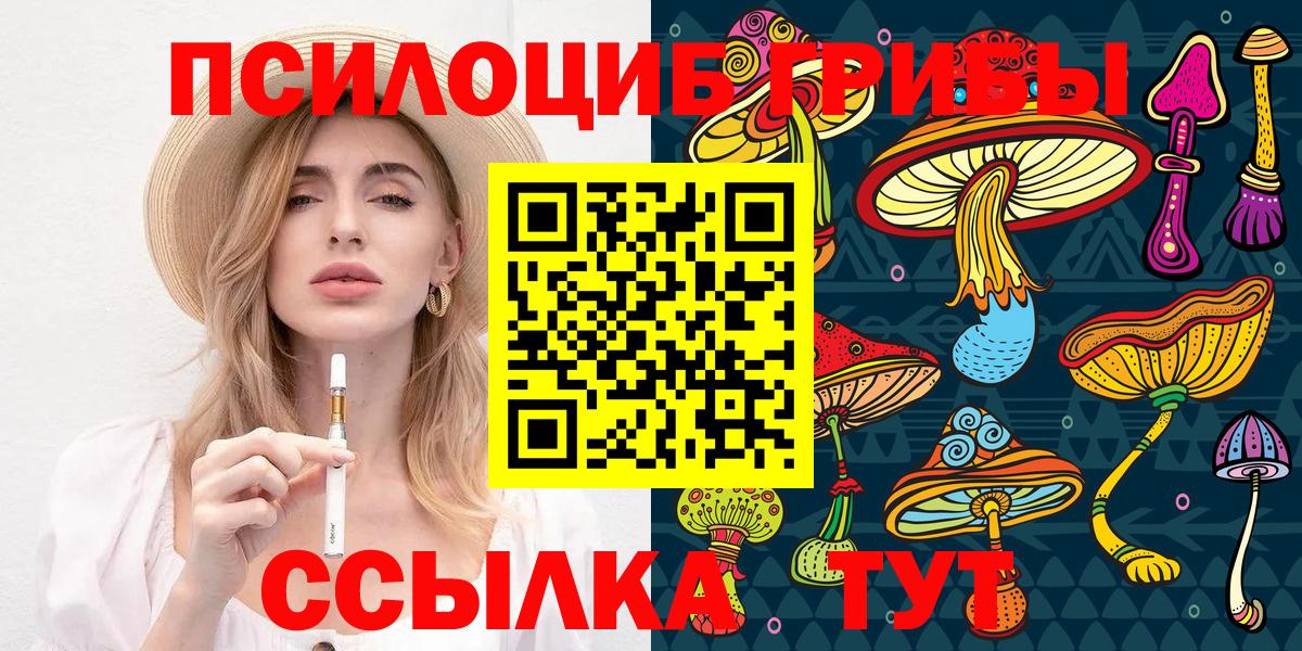 Псилоцибиновые грибы мицелий  Вход с VPN  Моршанск  где купить наркотик  Галлюциногенные грибы Psilocybine cubensis 