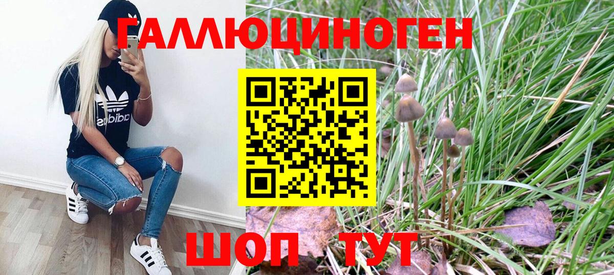 Галлюциногенные грибы MAGIC MUSHROOMS Моршанск