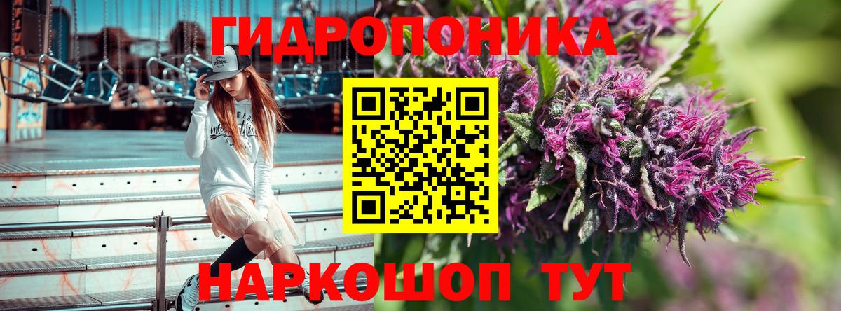 Канабис семена Моршанск